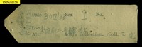 家鼷鼠藏品圖，第18張